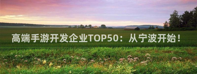 恒盛娱乐平台：高端手游开发企业TOP50：从宁波开始！