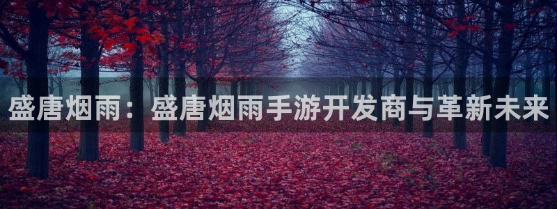 恒盛娱乐平台：盛唐烟雨：盛唐烟雨手游开发商与革新未来