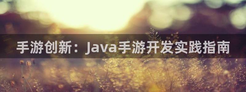 恒盛娱乐官网：手游创新：Java手游开发实践指南