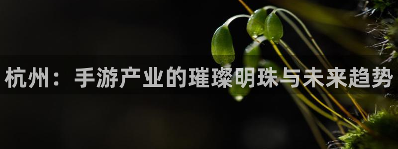 恒盛娱乐官网：杭州：手游产业的璀璨明珠与未来趋势