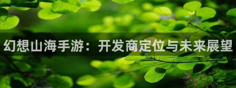 恒盛娱乐官网：幻想山海手游：开发商定位与未来展望