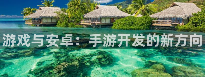 恒盛娱乐平台：游戏与安卓：手游开发的新方向