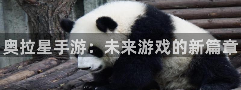 恒盛娱乐登陆：奥拉星手游：未来游戏的新篇章
