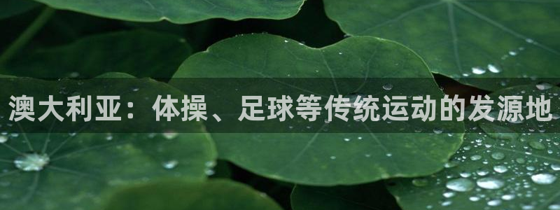 betway西汉姆官网