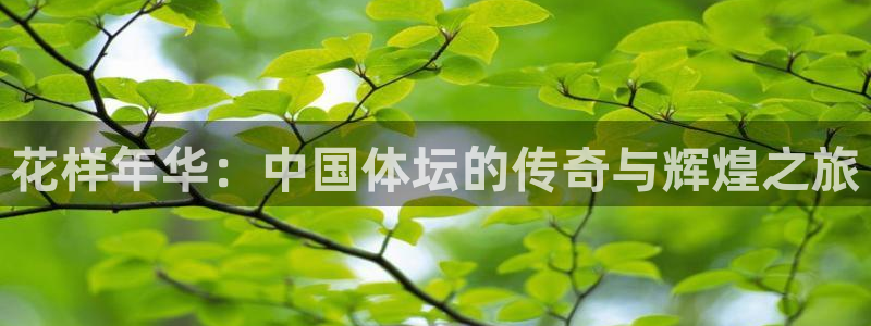 betway西汉姆联官网