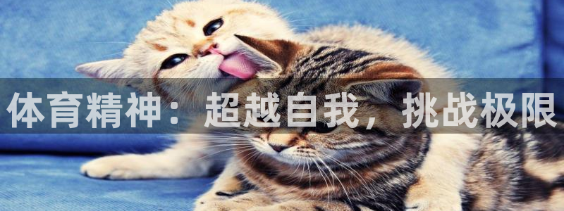 betway西汉姆官网