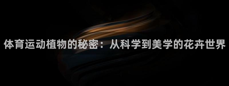 betway西汉姆官网