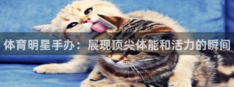 betway西汉姆联